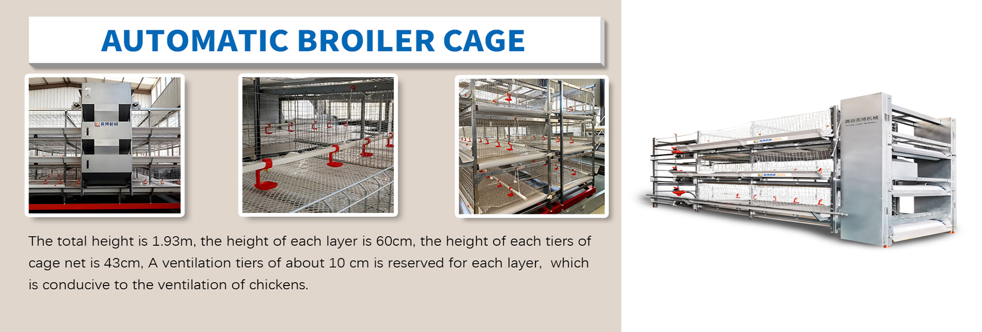 automatic chicken rsising equipment